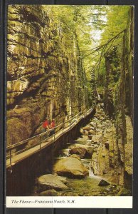 New Hampshire, White Mountains - The Flume Gorge - [NH-199]