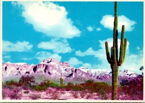 CONTINENTAL SIZE POSTCARD SUPERSTITION MOUNTAIN LOCATED EAST OF MESA VALLEY