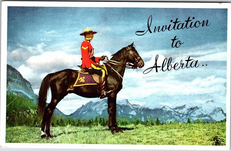 Postcard ANIMAL SCENE State of Alberta AB AK5091
