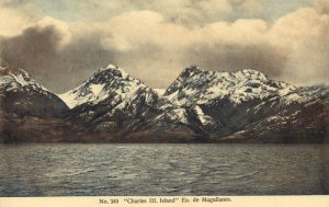 chile, MAGALLANES, Charles III. Island (1910s) C. Veiga 349 Postcard