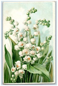 Lone Rock Wisconsin WI Postcard Birthday Greetings Lily Flowers Tuck c1910's