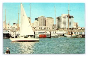 Yacht Basin Corpus Christi Texas Postcard Sailboating & Power Boating