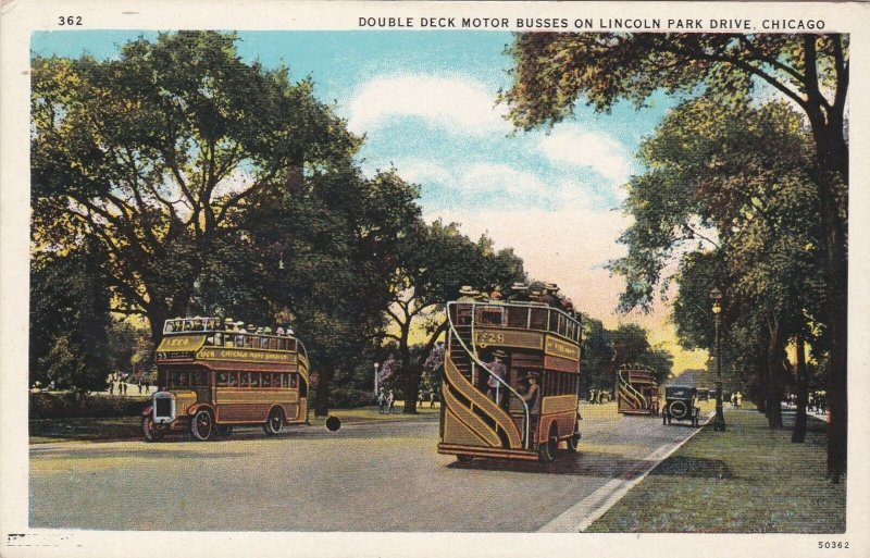 Illinois Chicago Double Decker Busses On Lincoln Park Drive Curteich sk4915