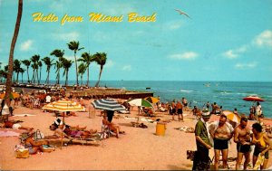 Florida Miami Beach Hello Showing Public Bathing Beach 1970