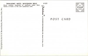 Swallows Nests Wisconsin Dells WI Postcard Plastichrome UNP Unused VTG Vintage 