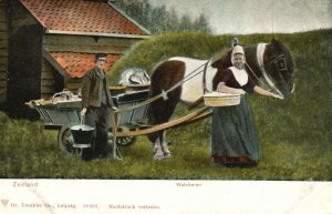 Vintage Postcard Zeeland Walcheren Nachdruck Verboten Horse Carriage Netherlands