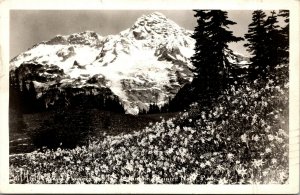 Vtg 1940s Wild Flowers and the Mountain Rainier National Park WA RPPC Postcard