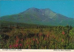 Gunsight Mountain Alaska