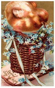 Easter Chick in Basket of Flowers