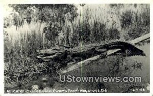 Real photo - Okefenokee Swamp Park - Waycross, Georgia GA  