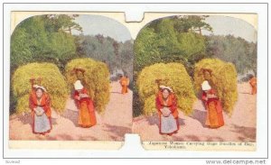 SV: Japanese Women Carrying Huge Bundles Of Hay, Yokohama, Japan, 1890s