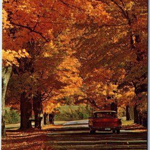 c1960s VT Vermont Fall Foliage Trees Street Scene Nash Rambler Car Forward A238