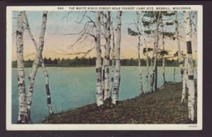 White Birch Forest,Merrill,WI