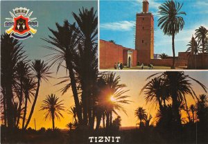 Lot 16  tiznit morocco Tiznet la mosque et la palmeraie