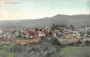 E88/ Bergholz  Jefferson County Ohio Postcard 1911 Birdseye Homes 13