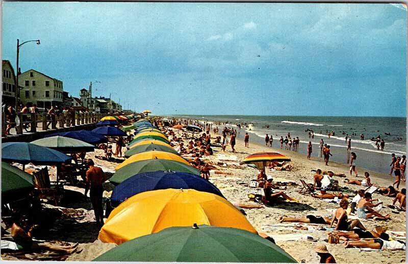 Postcard BEACH SCENE Virginia Beach Virginia VA AL6070