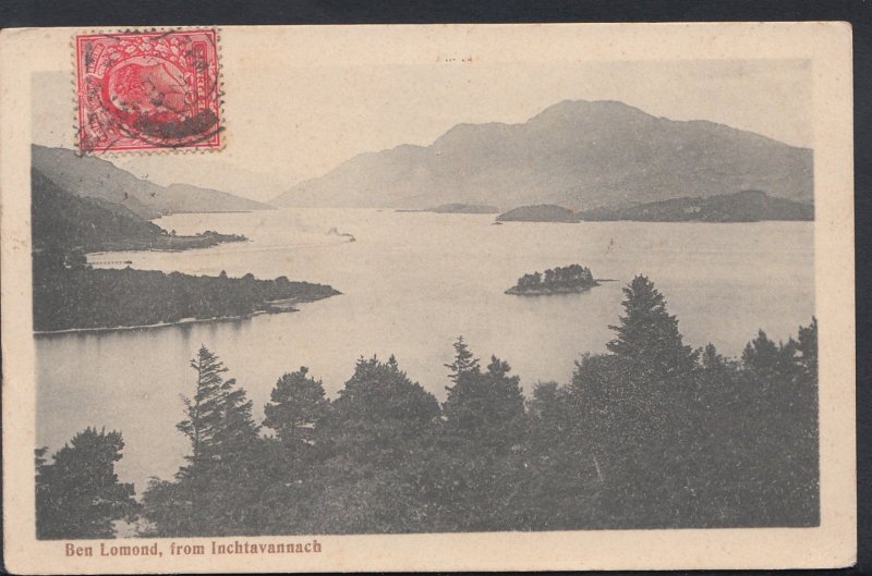 Scotland Postcard - Ben Lomond, From Inchtavannach   DC1030