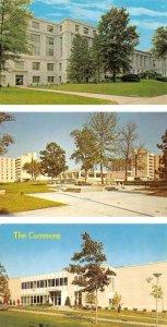 3~Postcards Columbia MO University Of Missouri  LIBRARY~HALL A & E DORMS~COMMONS