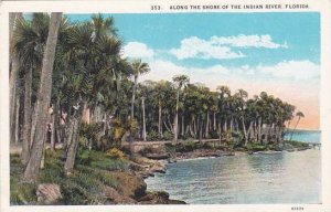 Florida Indian River Along The Shore Of The Indian River