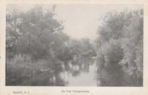 Homer NY, New York - View on Tioughnioga River - pm 1911 - UDB