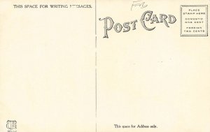 LPD03  Mackinac Island   Michigan Postcard