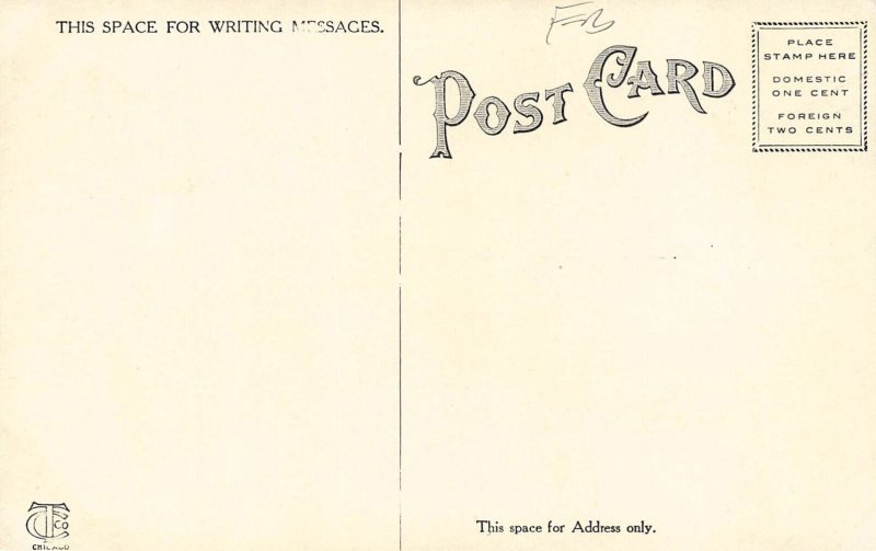 LPD03  Mackinac Island   Michigan Postcard