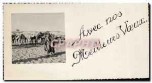 Old Postcard With best wishes Camels