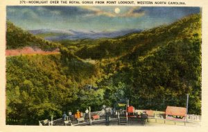 NC - Royal Gorge from Point Lookout