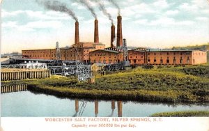 Worcester Salt Factory Silver Springs, New York