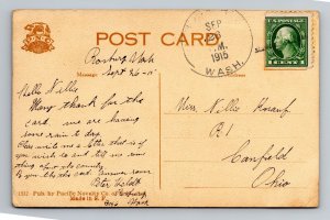 Middle Tumwater Falls Olympia Washington WA 1915 DB Sepia Postcard Q9