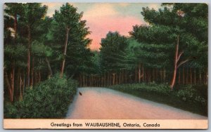 Postcard c1930s Greetings From Waubaushene Ontario Scenic Simcoe County