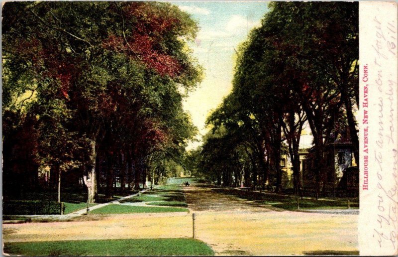 Connecticut New Haven Hillhouse Avenue 1907