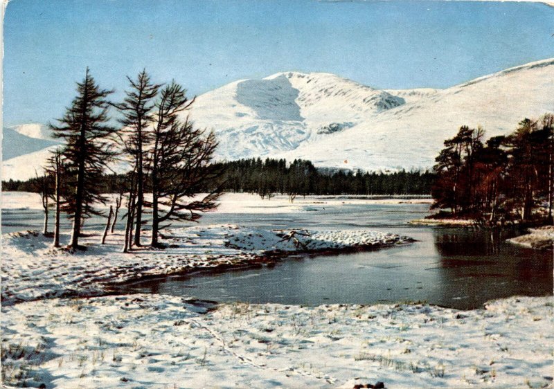 Loch Tulla, Argyllshire, Scotland, Tyndrum, Kingshouse, Moor Postcard