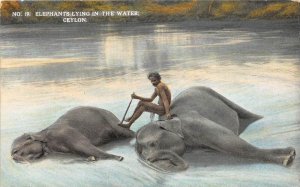 Sri Lanka  Ceylon     Elephants lying in the water