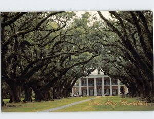 Postcard Oak Alley Plantation Vacherie Louisiana USA