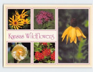 Postcard Kansas Wildflowers, Kansas