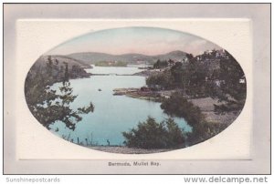 Bermuda Mullet Bay