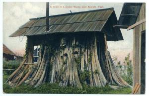 WA A Home in a Cedar Stump Everett