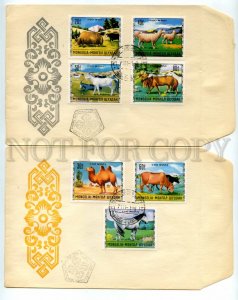 492614 MONGOLIA 1971 fauna pets animal husbandry goats sheep cows camels SET FDC