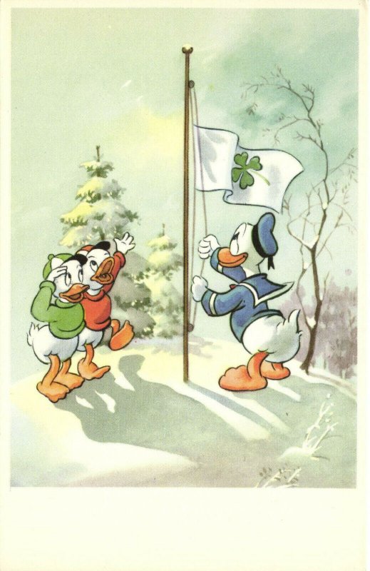 PC DISNEY, DONALD, HUEY AND LOUIE DUCKS, Vintage Postcard (b35872)