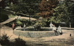 Chester West Virginia WV Park c1910s Postcard