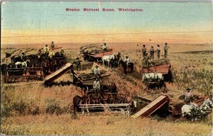 Farming Harvest Day Threshers Header Harvest Scene Washington Postcard KO11