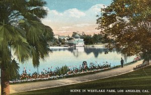 Vintage Postcard Westlake Park Scene Pathways Flowers Los Angeles California CA