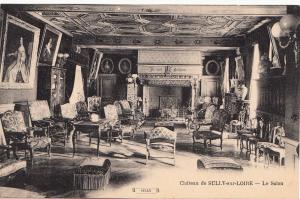 BF16261 le salon chateau de sully sur loire  france front/back image