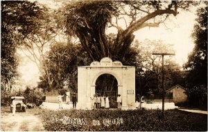 PC VENEZUELA, EL SAMAN DE CUÉRE, Vintage REAL PHOTO Postcard (b45605)