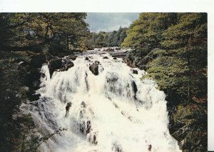 Wales Postcard - Betws-y-Coed - Swallow Falls - Caernarvonshire - Ref TZ8703