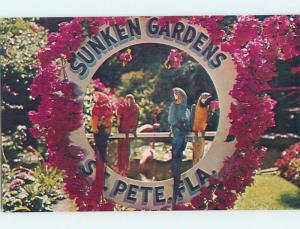 Pre-1980 PARROT BIRDS AT SUNKEN GARDENS St. Petersburg Florida FL hn5914