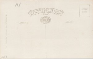 Pine Lodge The Antlers Adirondacks New York NY Unused Santway RPPC Postcard E78