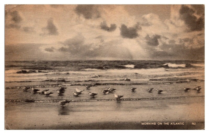 VTG Morning on the Atlantic, Gulls, Waves, Ocean, NH Postcard