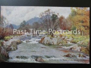 Old PC - Daffodils by the Banks of the Silvery Duddon